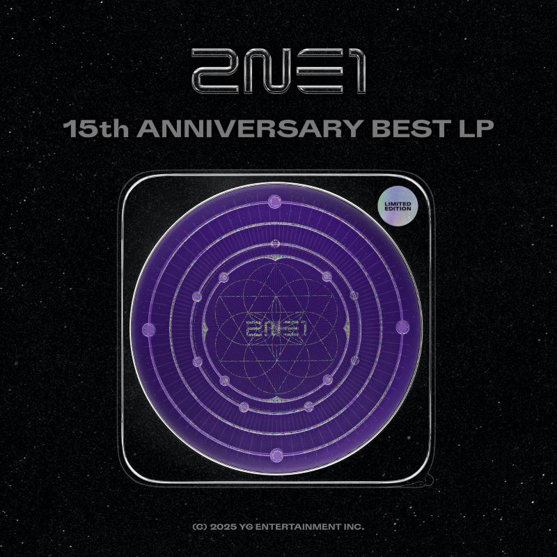 SEOULSTATION berlin 2ne1 anniversary vinyl lp album